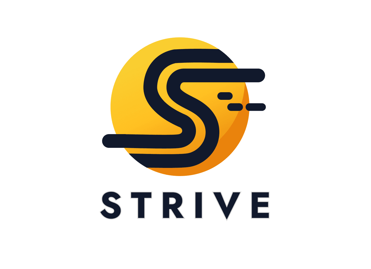 Strive Learning - slide 3